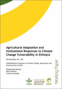 Agricultural adaptation and institutional responses to climate change vulnerability in Ethiopia